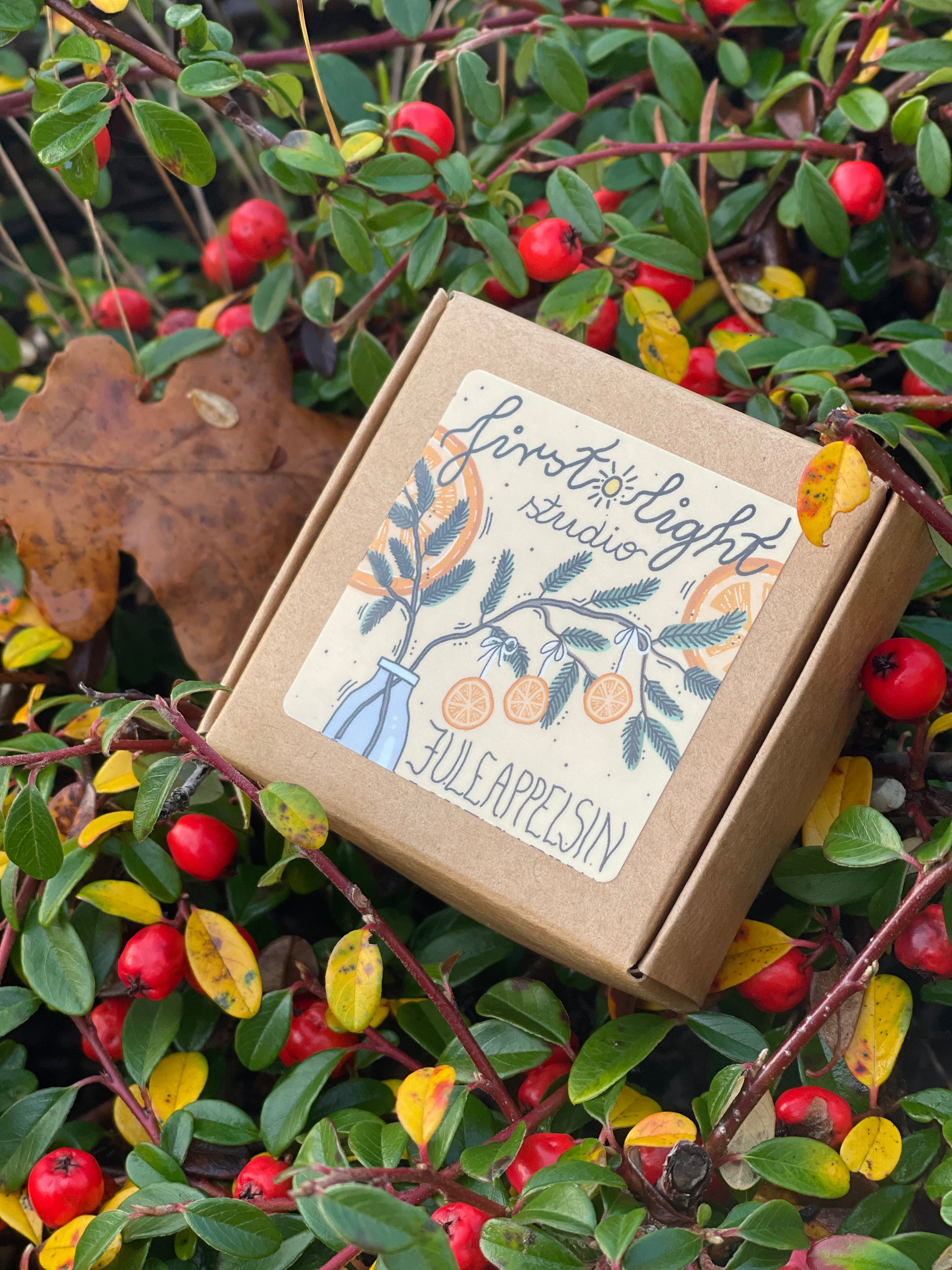 Juleappelsin håndlagde duftlys