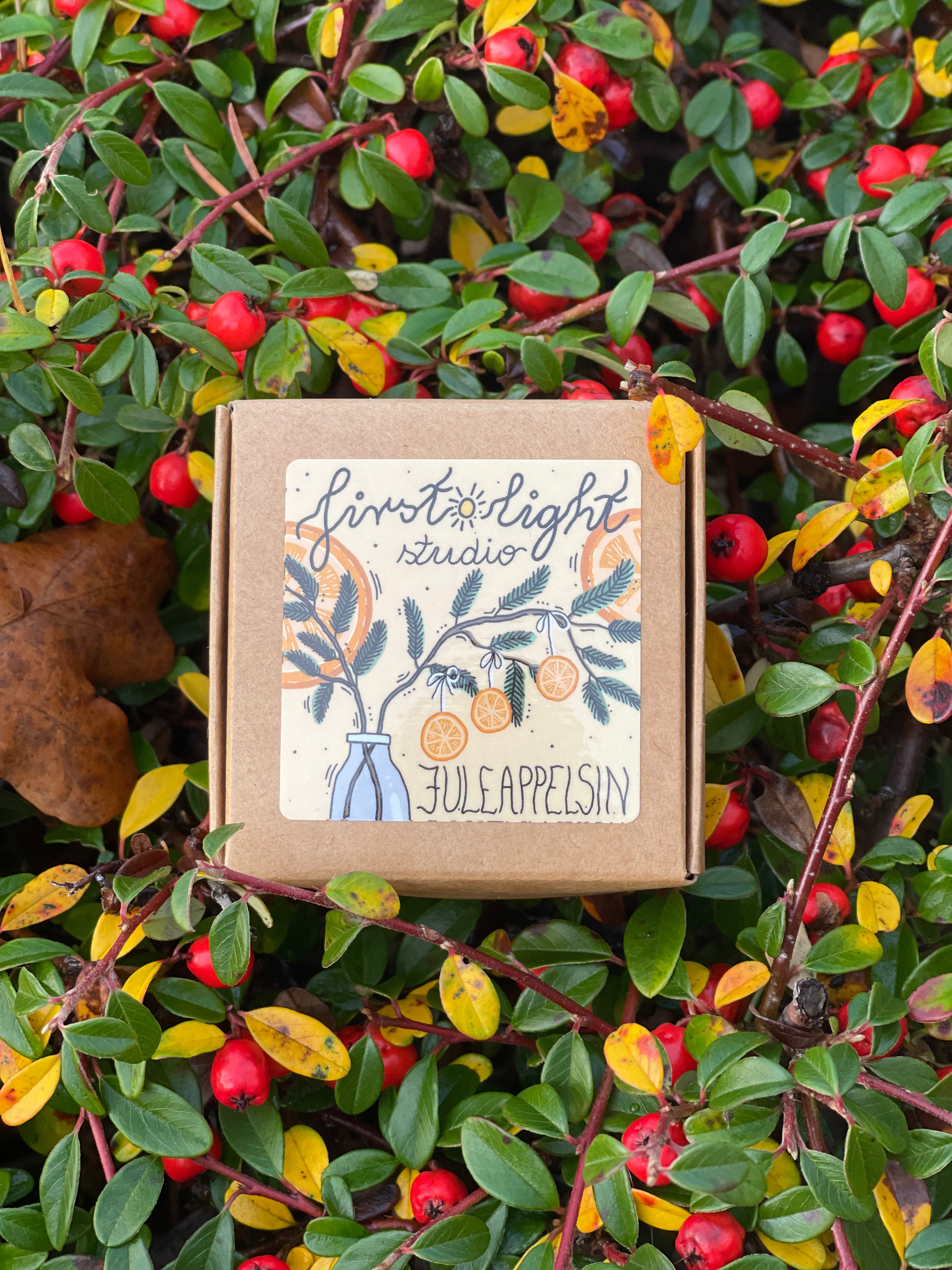 Juleappelsin håndlagde duftlys