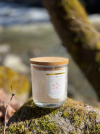 Candle with wooden lid on a rock by a stream